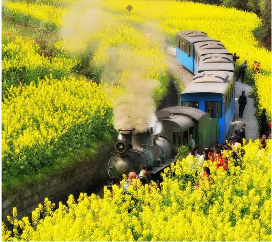 千里走單騎·樂山，千里歸來只為抵達(dá)另一個(gè)自己