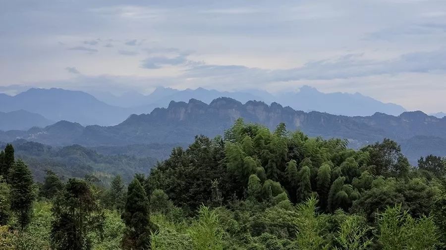 青城山·路之青城，山溝里的豬圈民宿