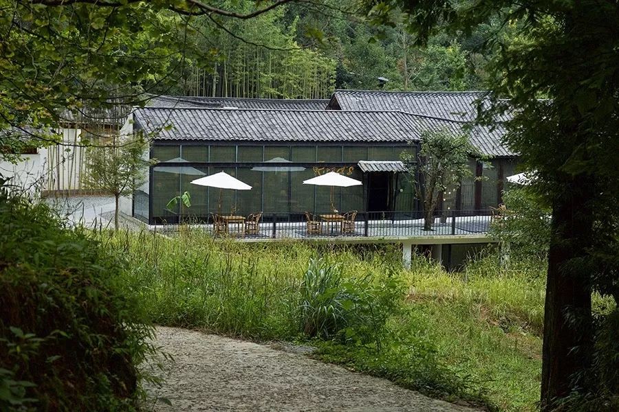 青城山·路之青城，山溝里的豬圈民宿