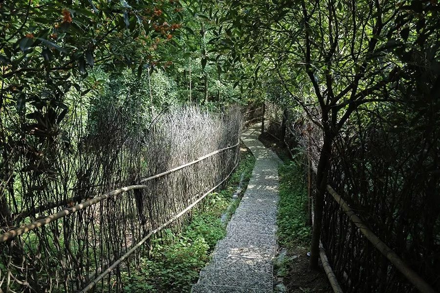 青城山·路之青城，山溝里的豬圈民宿