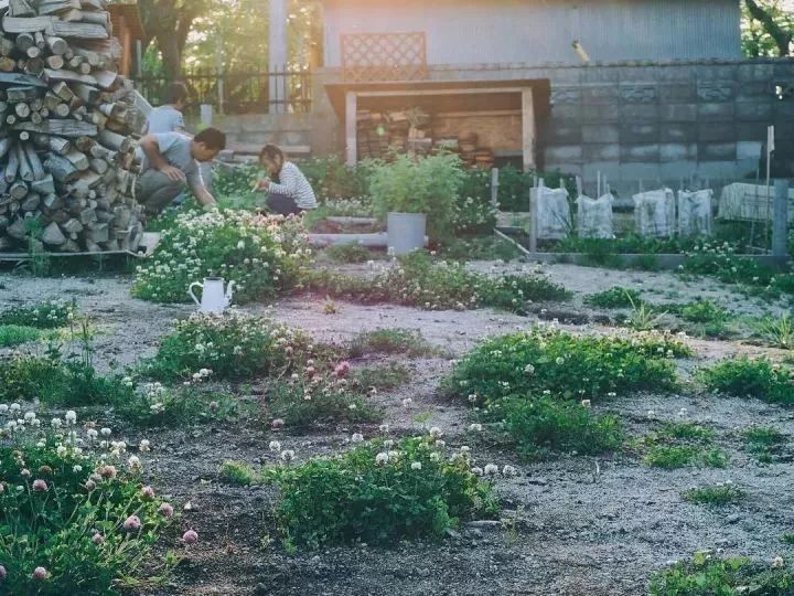 北海道的海濱小鎮(zhèn)，一家四口的日子才最幸福