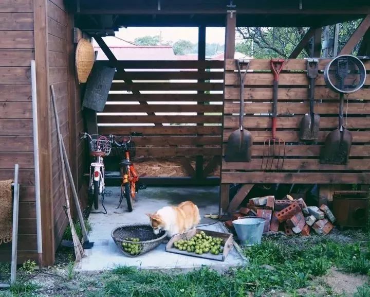 北海道的海濱小鎮(zhèn)，一家四口的日子才最幸福