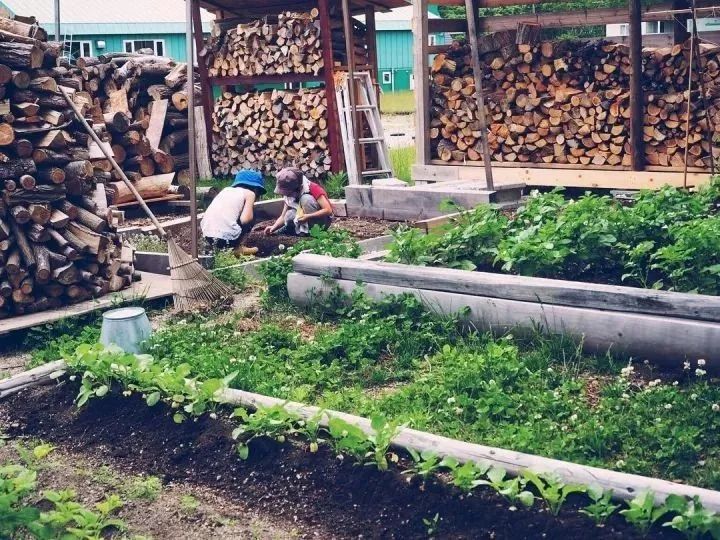 北海道的海濱小鎮(zhèn)，一家四口的日子才最幸福
