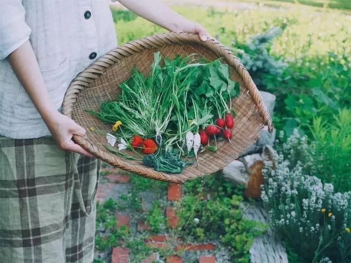北海道的海濱小鎮(zhèn)，一家四口的日子才最幸福