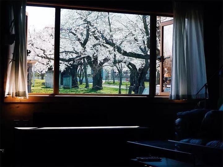 北海道的海濱小鎮(zhèn)，一家四口的日子才最幸福