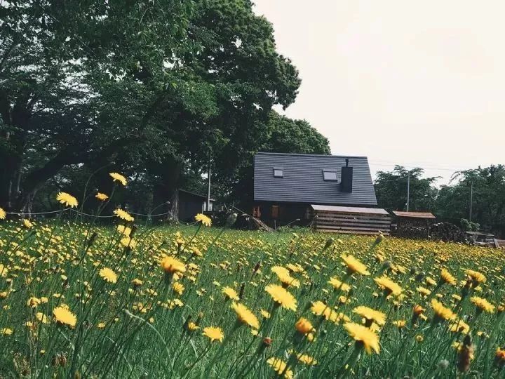 北海道的海濱小鎮(zhèn)，一家四口的日子才最幸福