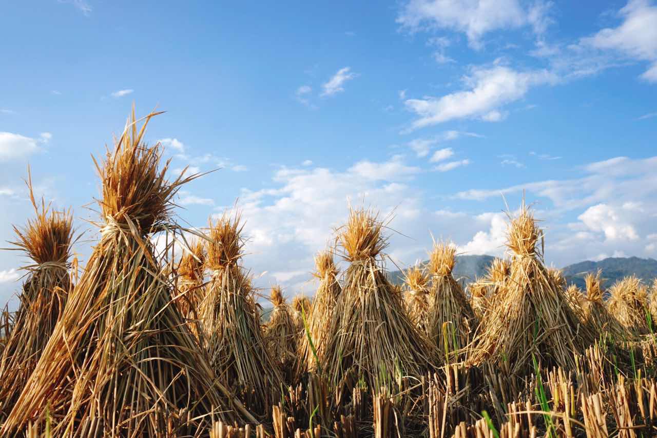 漫宿·見山，在古鎮(zhèn)享受寧靜而恬淡的時光
