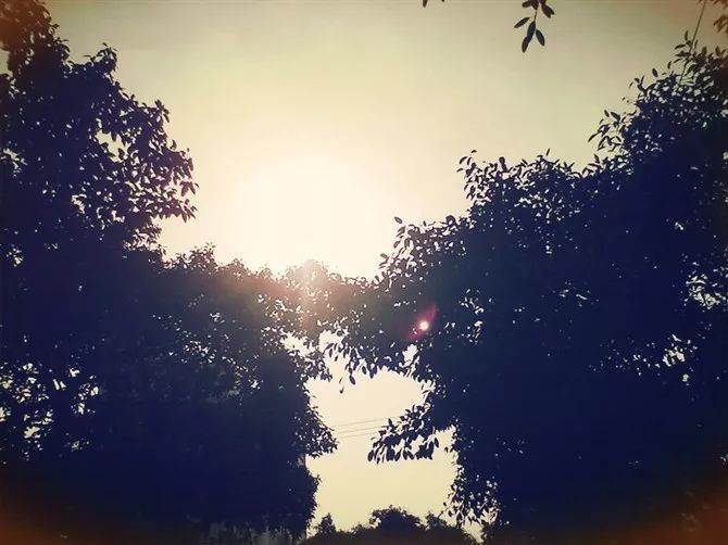 “中國最美寺院”寂照庵，房子象征著家是情感