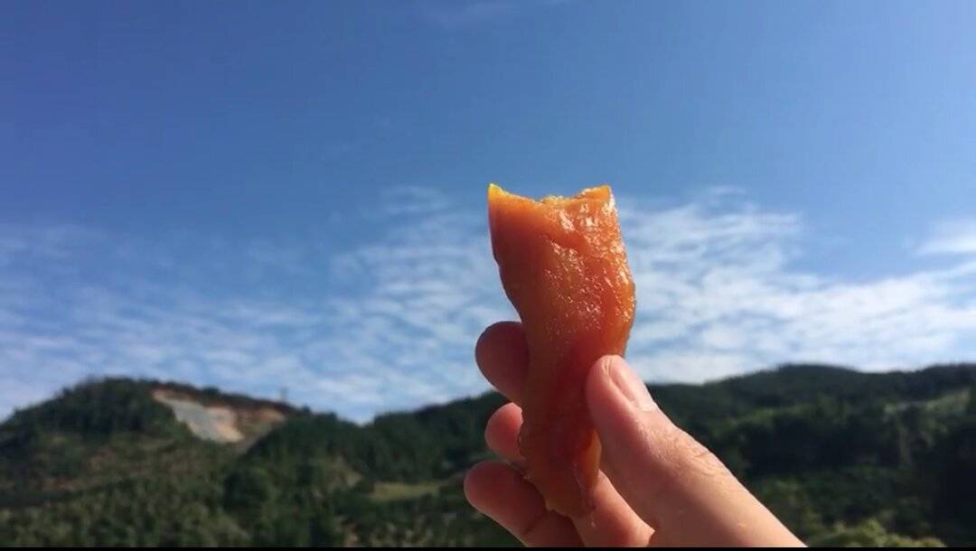 莫干山·趣舍一棵樹，置身山中與山林萬(wàn)物相連