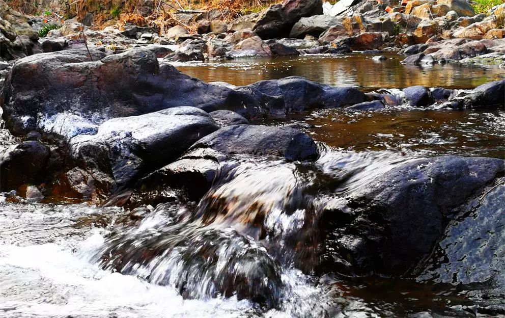 莫干山·趣舍一棵樹，置身山中與山林萬(wàn)物相連