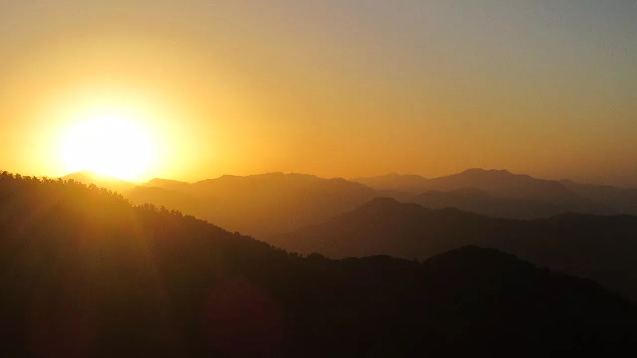 莫干山·趣舍一棵樹，置身山中與山林萬(wàn)物相連