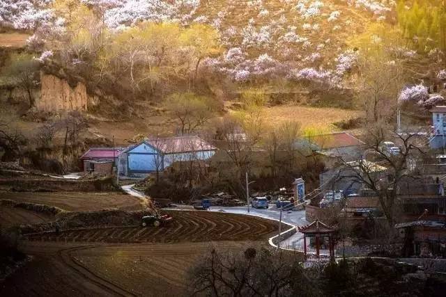 北京·山楂小院，留住最土的鄉(xiāng)味和溫暖的人心