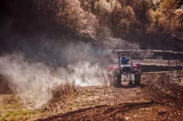 北京·山楂小院，留住最土的鄉(xiāng)味和溫暖的人心