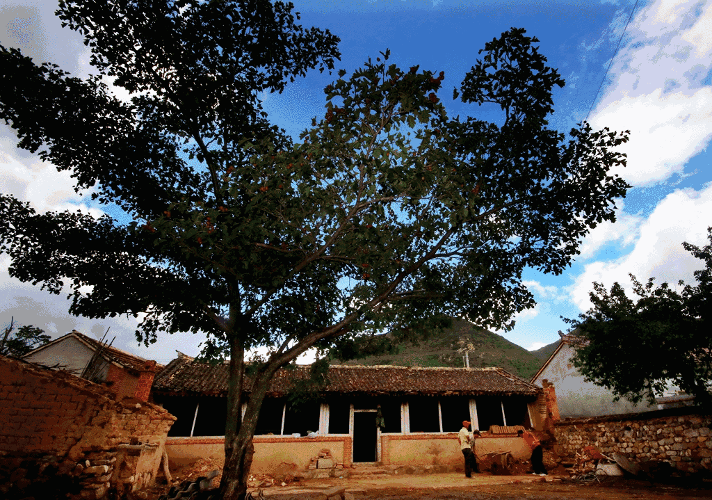 北京·山楂小院，留住最土的鄉(xiāng)味和溫暖的人心