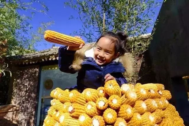 北京·山楂小院，留住最土的鄉(xiāng)味和溫暖的人心