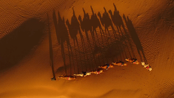 黃河·宿集，你想要的快意江湖就在這里