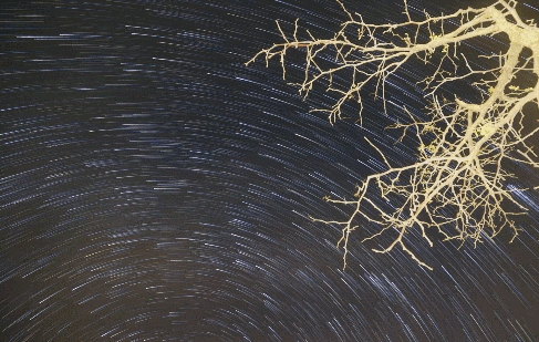 黃河·宿集，你想要的快意江湖就在這里