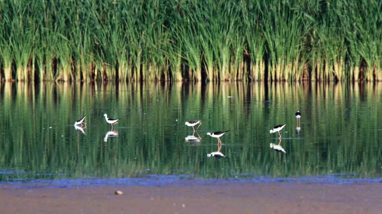 黃河·宿集，你想要的快意江湖就在這里