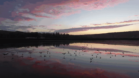 黃河·宿集，你想要的快意江湖就在這里