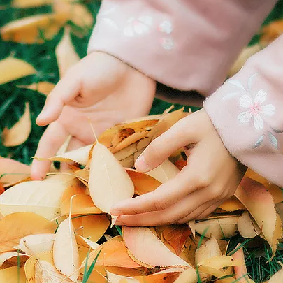 落葉飄粉衣女生頭像，唯美古風(fēng)真人頭像