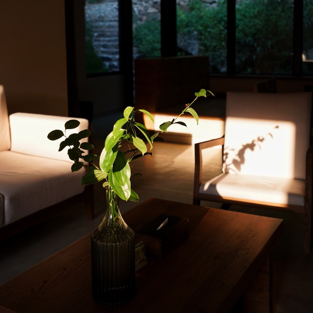 莫干山·三秋美宿，一日不見三秋盼兮