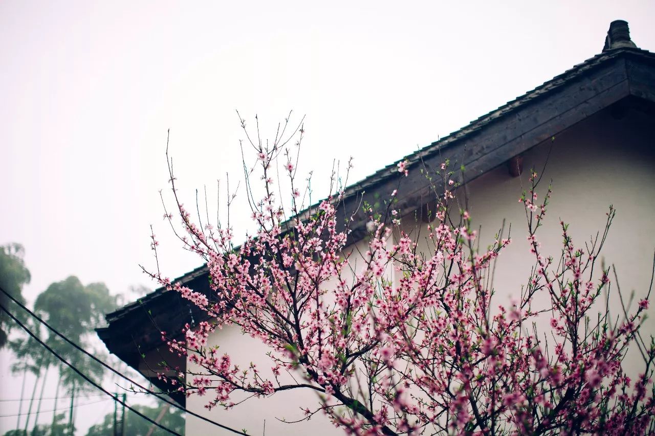 莫干山·三秋美宿，一日不見三秋盼兮