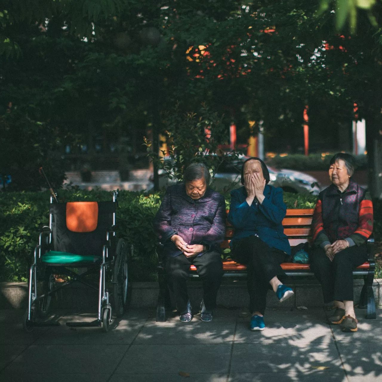 莫干山·三秋美宿，一日不見(jiàn)三秋盼兮