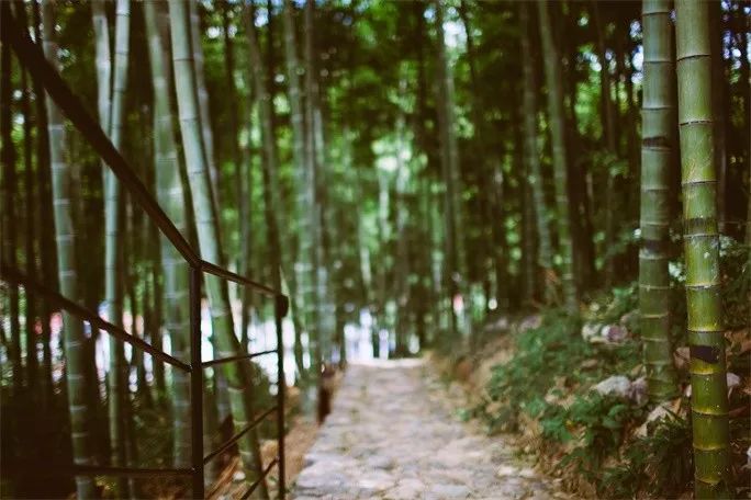 莫干山·三秋美宿，一日不見(jiàn)三秋盼兮