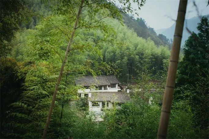 莫干山·三秋美宿，一日不見三秋盼兮