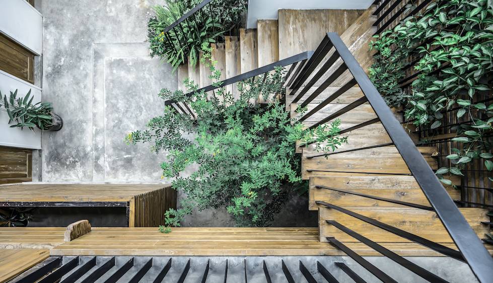 大理古城·果念，按照自己喜歡的方式活著