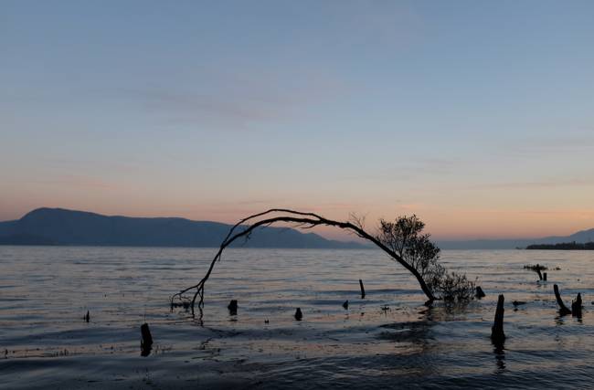 大理古城·果念，按照自己喜歡的方式活著