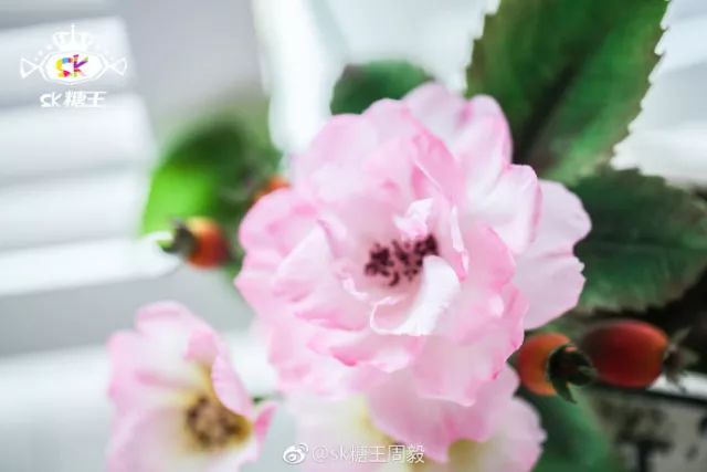 一代糖王，技術(shù)之路沒有終點(diǎn)不忘初心砥礪前行