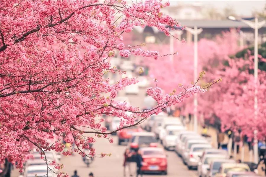 大理洱?！w心，歸心看海煙雨江南