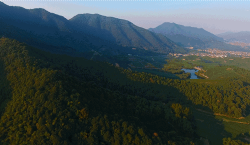 杭州·長(zhǎng)鏡頭，一所電影時(shí)光主題民宿