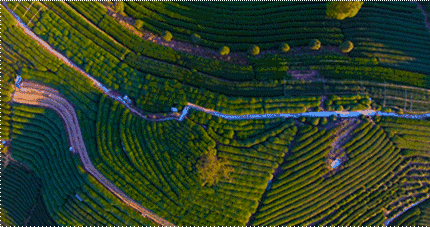 杭州·長(zhǎng)鏡頭，一所電影時(shí)光主題民宿