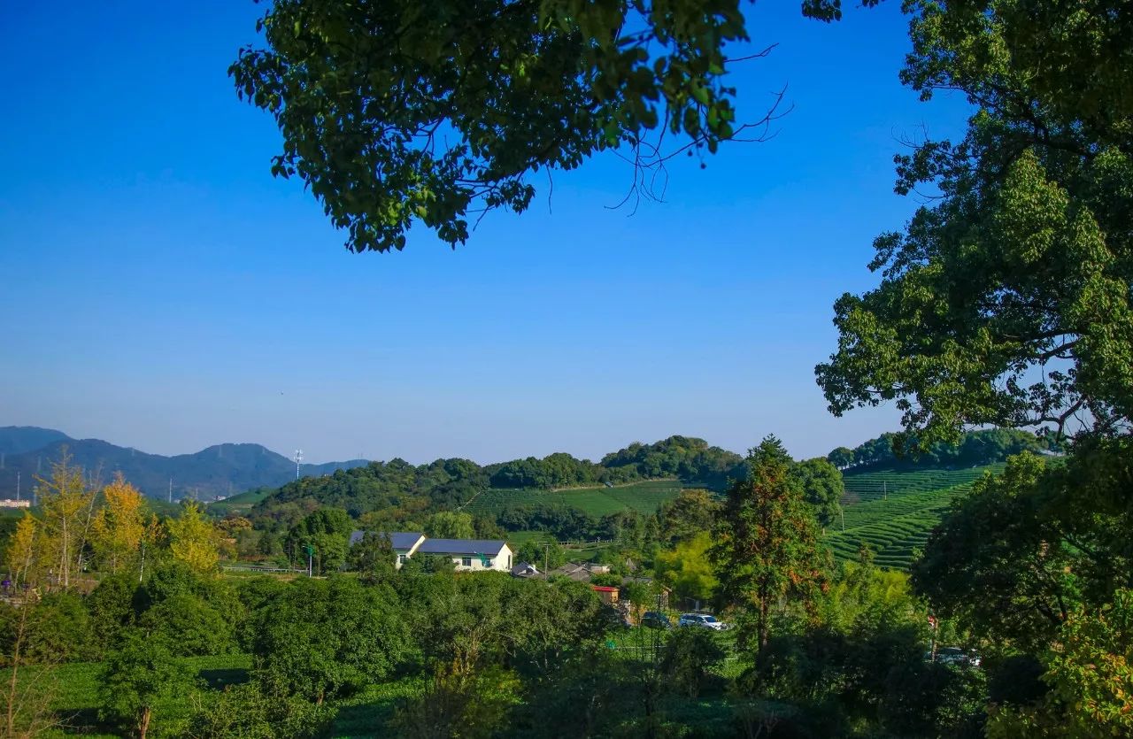 杭州·長(zhǎng)鏡頭，一所電影時(shí)光主題民宿