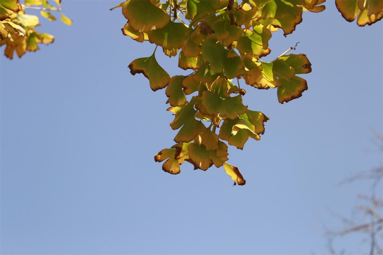 杭州·長(zhǎng)鏡頭，一所電影時(shí)光主題民宿