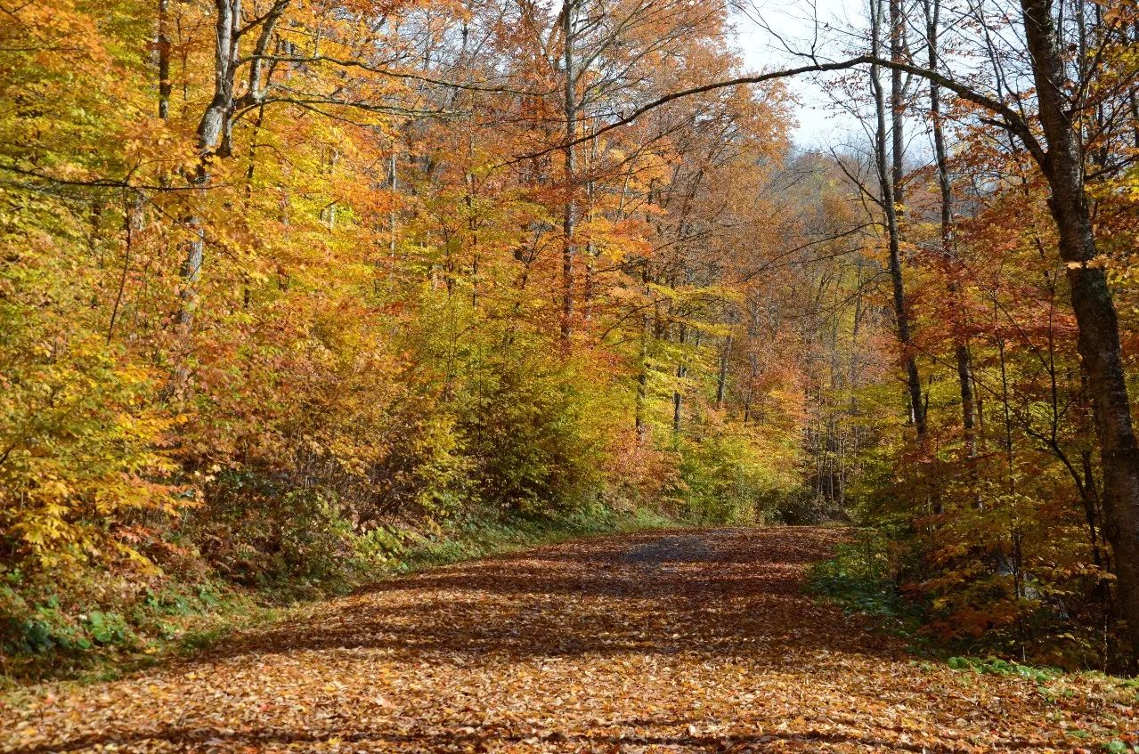 杭州·長(zhǎng)鏡頭，一所電影時(shí)光主題民宿