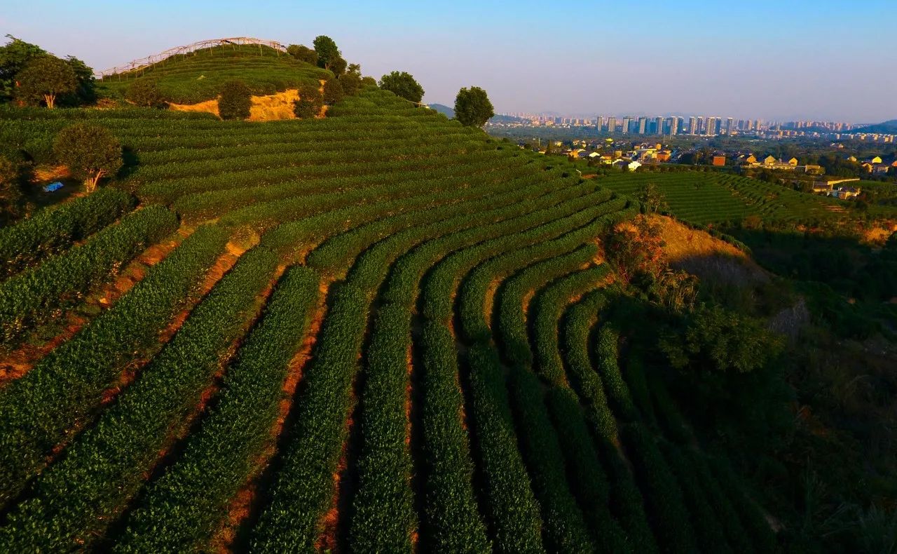 杭州·長鏡頭，一所電影時光主題民宿