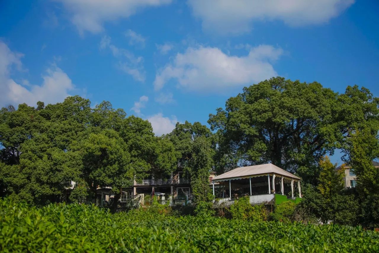 杭州·長鏡頭，一所電影時光主題民宿