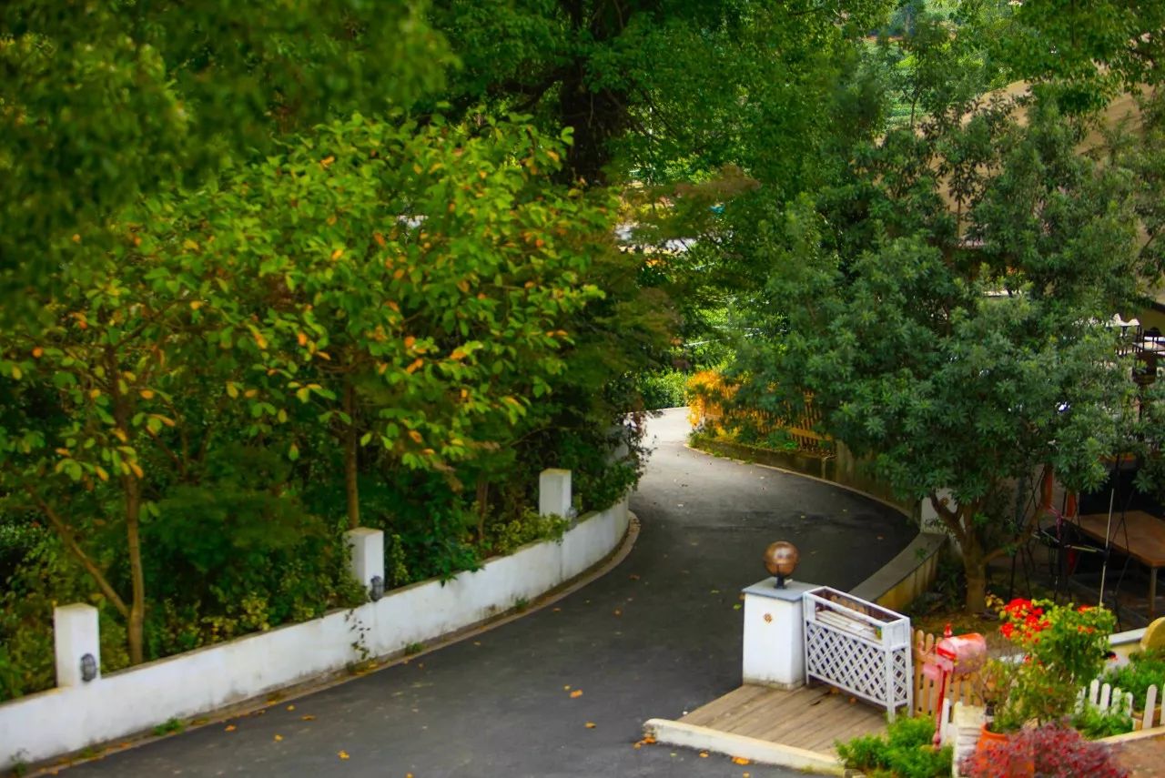 杭州·長鏡頭，一所電影時光主題民宿