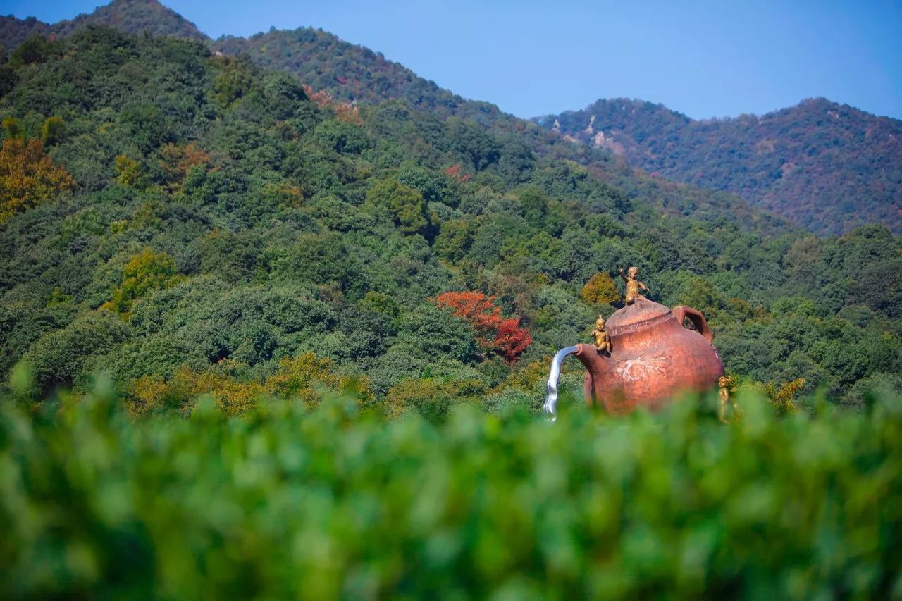 杭州·長(zhǎng)鏡頭，一所電影時(shí)光主題民宿