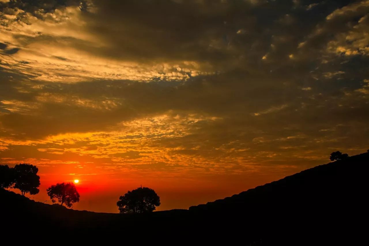 杭州·長(zhǎng)鏡頭，一所電影時(shí)光主題民宿