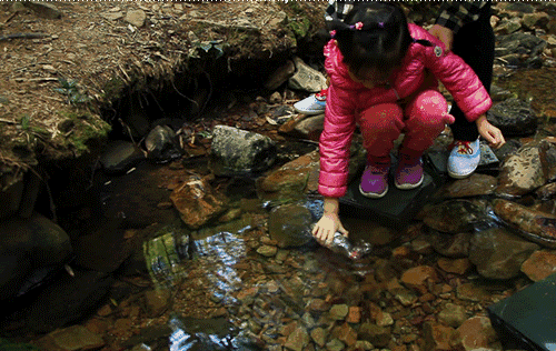 杭州·長(zhǎng)鏡頭，一所電影時(shí)光主題民宿