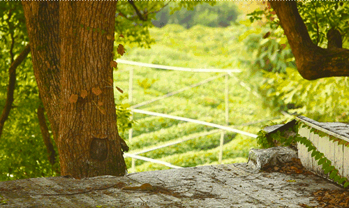 杭州·長鏡頭，一所電影時光主題民宿