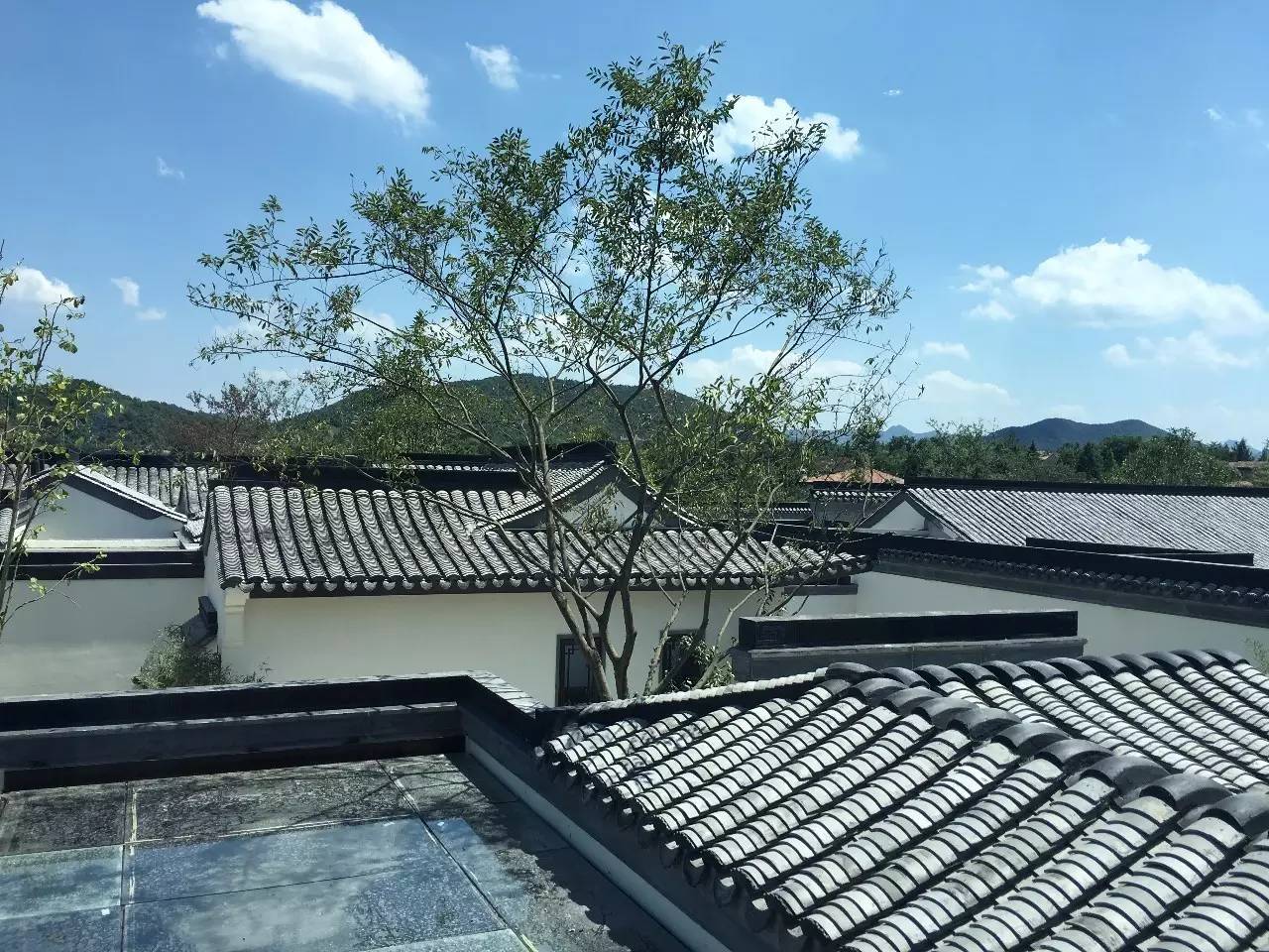 10所綠城·中式宅院，何必羨“西風(fēng)”中式乃最美