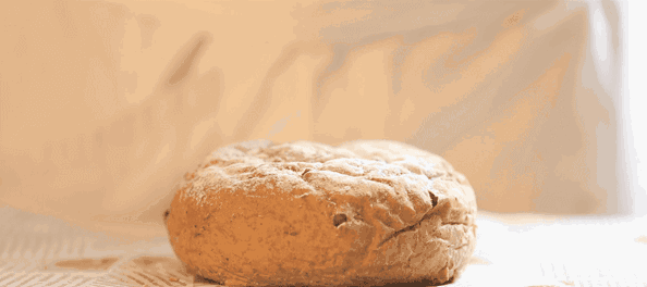 零搟健康面包店，講究不將就