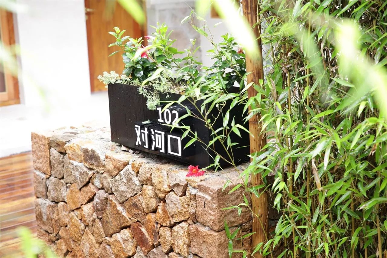 莫干山·西璞，睡進梵高的畫里