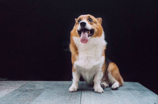 杭州·簡(jiǎn)象，一種別樣的復(fù)古情調(diào)