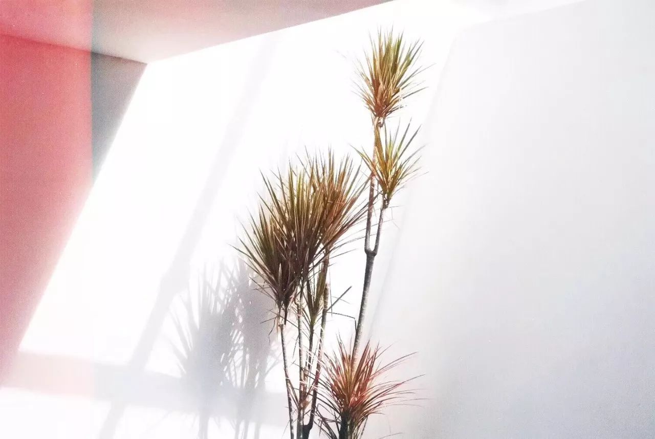 杭州·簡(jiǎn)象，一種別樣的復(fù)古情調(diào)